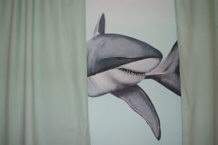 muurschildering haai